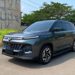 Almaz HYBRID 2024