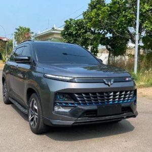 Almaz HYBRID 2024