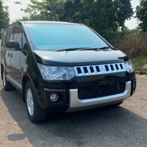 Mitsubishi Delica 2016